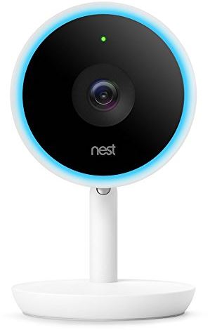 Nest Cam IQ