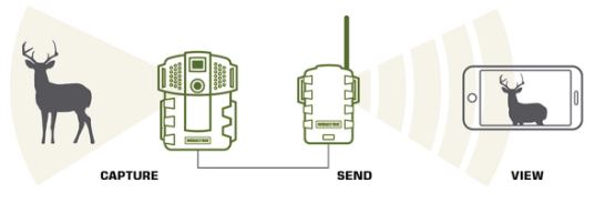 Moultrie移动MV2